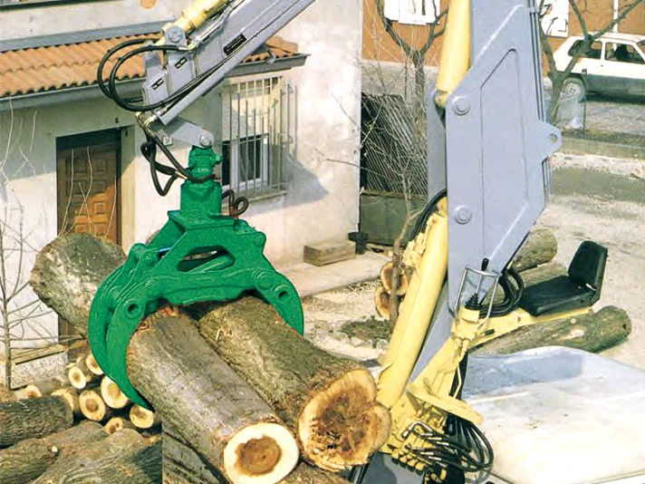 rozzi