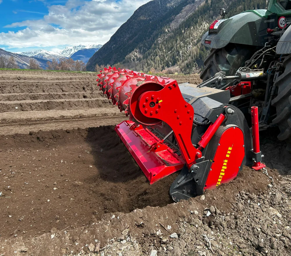 Nathalie & cie photos de chiens Seppi